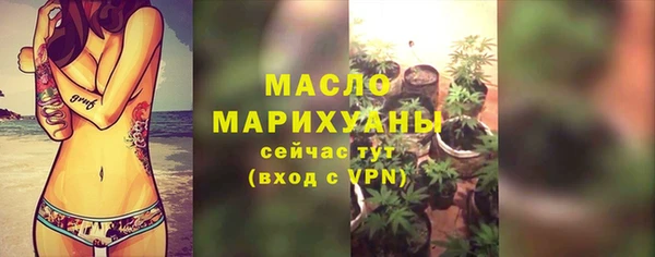 индика Лихославль