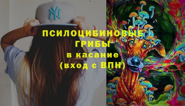 индика Лихославль