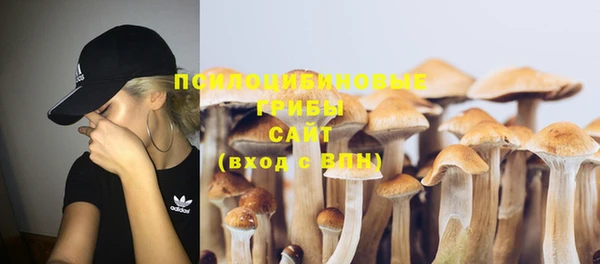 индика Лихославль
