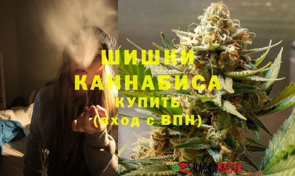 ПСИЛОЦИБИНОВЫЕ ГРИБЫ Липки