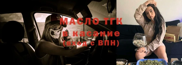 индика Лихославль