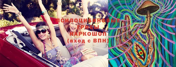 ПСИЛОЦИБИНОВЫЕ ГРИБЫ Липки