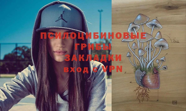 индика Лихославль