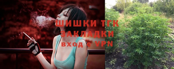 индика Лихославль